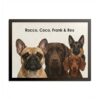 Modern Pet Portrait – 4 Pets 13560659089563706690 2048.jpeg