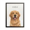 Modern Pet Portrait - 1 Pet 14259904708096863928 2048 2.jpeg