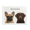 Modern Pet Portrait – 2 Pets 14447330347109700025 2048 1.jpeg