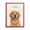 Modern Pet Portrait - 1 Pet 15392638783672329137 2048 2.jpeg